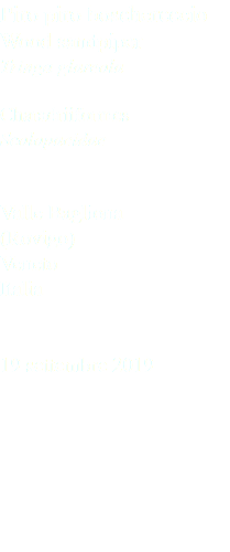 Piro piro boschereccio Wood sandpiper Tringa glareola Charadriiformes Scolopacidae Valle Bagliona (Rovigo) Veneto Italia 19 settembre 2019