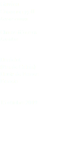 Gavina Common gull Larus canus Charadriiformes Laridae Hardelot (Pas de Calais) Hauts de France Francia 15 ottobre 2019