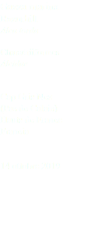 Gazza marina Razorbill Alca torda Charadriiformes Alcidae Cap Gris Nez (Pas de Calais) Hauts de France Francia 14 ottobre 2019