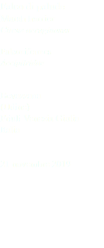 Falco di palude Marsh harrier Circus aeruginosus Falconifermes Accipitridae Bevazzana (Udine) Friuli Venezia Giulia Italia 21 novembre 2019
