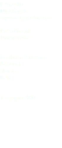 Usignolo Nightingale Luscinia megarhynchos Passeriformes Muscicapidae Barchessa Ravagnan (Rovigo) Veneto Italia 15 giugno 2020