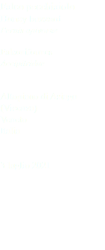 Falco pecchiaiolo Honey buzzard Pernis apivorus Falconiformes Accipitridae Altopiano di Asiago (Vicenza) Veneto Italia 3 luglio 2021