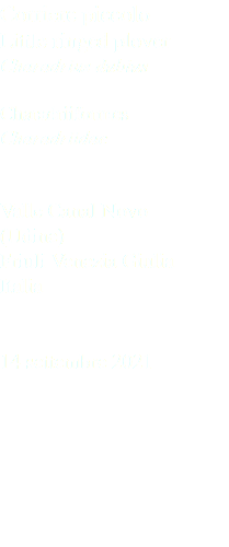 Corriere piccolo Little ringed plover Charadrius dubius Charadriiformes Charadriidae Valle Canal Novo (Udine) Friuli Venezia Giulia Italia 14 settembre 2021