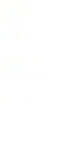 Oca selvatica Greylag goose Anser anser Anseriformes Anatidae Isola della Cona (Gorizia) Friuli Venezia Giulia Italia 1 ottobre 2021