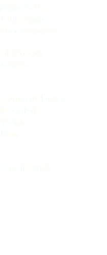 Schiribilla Little crake Porzana parva Gruiformes Rallidae Quinto di Treviso (Treviso) Veneto Italia 4 aprile 2022