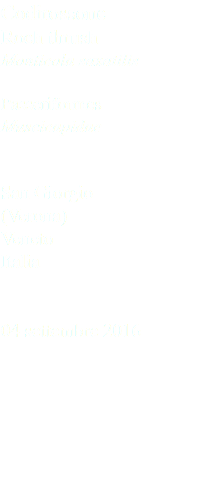 Codirossone Roch thrush Monticola saxatilis Passeriformes Muscicapidae San Giorgio (Verona) Veneto Italia 04 settembre 2016