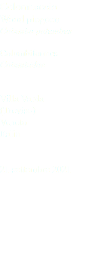 Colombaccio Wood piogeon Columba palumbus Columbiformes Columbidae Villa Varda (Treviso) Veneto Italia 21 settembre 2021