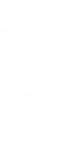 Corriere grosso Ringed plover Charadrius hiaticula Charadriiformes Charadriidae Sacca degli Scardovari (Rovigo) Veneto Italia 10 ottobre 2015
