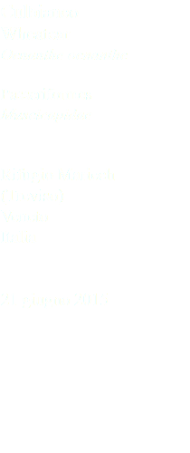 Culbianco Wheatear Oenanthe oenanthe Passeriformes Muscicapidae Rifugio Mariech (Treviso) Veneto Italia 21 giugno 2015