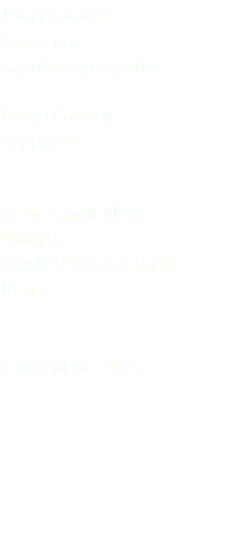 Fiorrancino Firecrest Regulus ignicapilla Passeriformes Regulidae Valle Canal Novo Udine) Friuli Venezia Giulia Italia 2 dicembre 2015