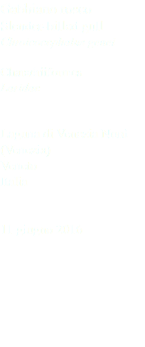 Gabbiano roseo Slender-billed gull Chroicocephalus genei Charadriiformes Laridae Laguna di Venezia Nord (Venezia) Veneto Italia 11 giugno 2016