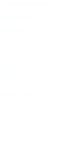 Gambecchio comune Little stint Calidris minuta Charadriiformes Scolopacidae Valle Spolverina (Rovigo) Veneto Italia 10 ottobre 2015