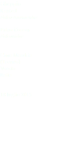 Gheppio Kestrel Falco tinnunculus Falconiformes Falconidae Cima Mandria (Treviso) Veneto Italia 18 luglio 2015