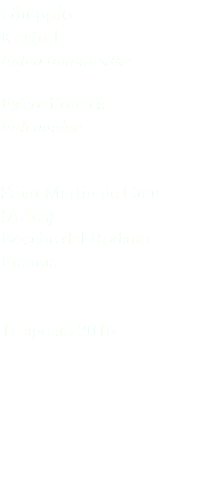 Gheppio Kestrel Falco tinnunculus Falconiformes Falconidae Saint Martin de Crau (Arles) Bocche del Rodano Francia 11 agosto 2016