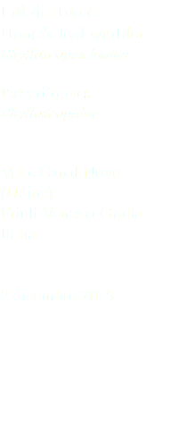 Luì di Hume Hume's leaf warbler Phylloscopus humei Passeriformes Phylloscopidae Valle Canal Novo (Udine) Friuli Venezia Giulia Italia 2 dicembre 2015