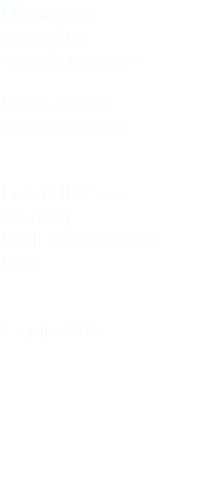Mignattaio Glossy ibis Plegadis falcnellus Pelecaniformes Threskiornithidae Isola della Cona (Gorizia) Friuli Venezia Giulia Italia 2 luglio 2015