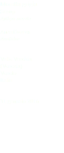 Moretta grigia Scaup Aythya marila Anseriformes Anatidae Valle Vecchia (Venezia) Veneto Italia 31 gennaio 2016