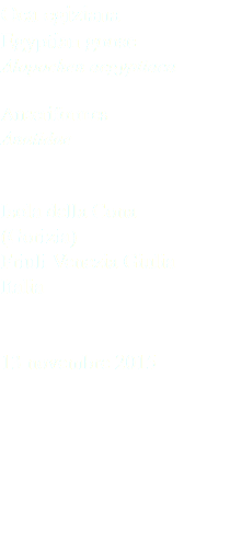 Oca egiziana Egyptian goose Alopochen aegyptiaca Anseriformes Anatidae Isola della Cona (Gorizia) Friuli Venezia Giulia Italia 13 novembre 2015