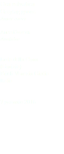 Oca selvatica Greylag goose Anser anser Anseriformes Anatidae Isola della Cona (Gorizia) Friuli Venezia Giulia Italia 7 gennaio 2016