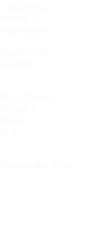 Canapiglia Gadwall Anas strepera Anseriformes Anatidae Valle Vecchia (Venezia) Veneto Italia 29 novembre 2016