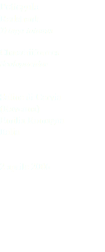 Pettegola Redshank Tringa totanus Charadriiformes Scolopacidae Saline di Cervia (Ravenna) Emilia Romagna Italia 2 aprile 2006