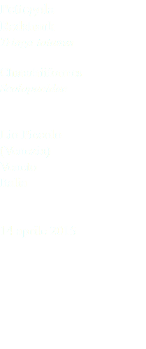 Pettegola Redshank Tringa totanus Charadriiformes Scolopacidae Lio Piccolo (Venezia) Veneto Italia 14 aprile 2015