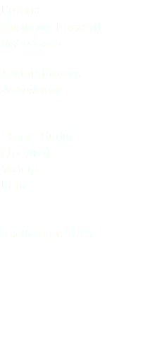 Poiana Common buzzard Buteo buteo Accipitriformes Accipitridae Casere Budui (Treviso) Veneto Italia 6 settembre 2015