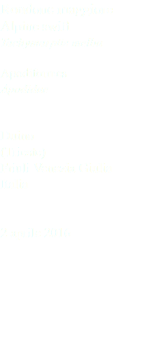 Rondone maggiore Alpine swift Tachymarptis melba Apodiformes Apodidae Duino (Trieste) Friuli Venezia Giulia Italia 2 aprile 2016