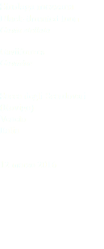Strolaga mezzana Black-throated loon Gavia stellata Gaviiformes Gaviidae Sacca degli Scardovari (Rovigo) Veneto Italia 12 marzo 2016