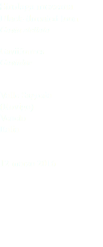 Strolaga mezzana Black-throated loon Gavia stellata Gaviiformes Gaviidae Valle Sagreda (Rovigo) Veneto Italia 12 marzo 2016