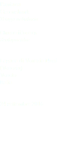 Pantana Greenshank Tringa nebularia Charadriiformes Scolopacidae Laguna di Venezia Nord (Venezia) Veneto Italia 24 settembre 2016