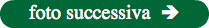 foto successiva 