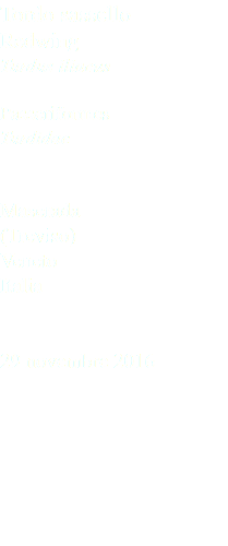 Tordo sassello Redwing Turdus iliacus Passeriformes Turdidae Maserada (Treviso) Veneto Italia 29 novembre 2016