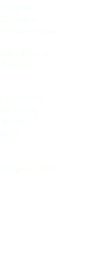 Volpoca Shelduck Tardona tardona Anseriformes Anatidae Lio Piccolo (Venezia) Veneto Italia 30 aprile 2016