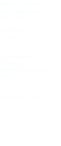 Strolaga mezzana Black-throated loon Gavia stellata Gaviiformes Gaviidae Valle Cavanata (Gorizia) Friuli Venezia Giulia Italia 15 dicembre 2016
