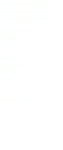 Gabbiano corallino Mediterranean gull Larus melanocephalus Charadriiformes Laridae Chioggia (Venezia) Veneto Italia 1 ottobre 2016