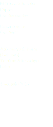 Merlo acquaiolo Dipper Cinclus cinclus Passeriformes Cinclidae Anterselva di Sotto (Bolzano) Trentino Alto Adige Italia 4 gennaio 2017