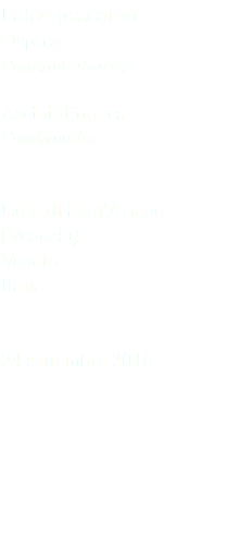 Falco pescatore Osprey Pandion aliaetus Accipitriformes Pandionidae Isola di Sant'Ariano (Venezia) Veneto Italia 24 settembre 2016
