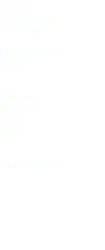 Gavina Common gull Larus canus Charadriiformes Laridae Chioggia (Venezia) Veneto Italia 7 febbraio 2017