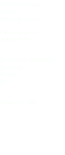 Chiurlo maggiore Curlew Numenius arquata Charadriiformes Scolopacidae Sacca degli Scardovari (Rovigo) Veneto Italia 7 febbraio 2017